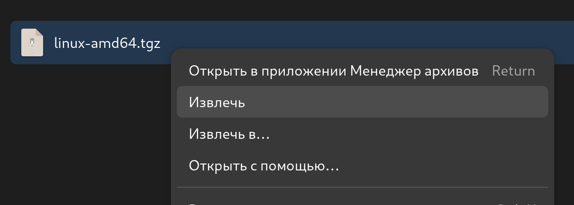 Меню ПКМ на файле, выделен второй пункт - Извлечь